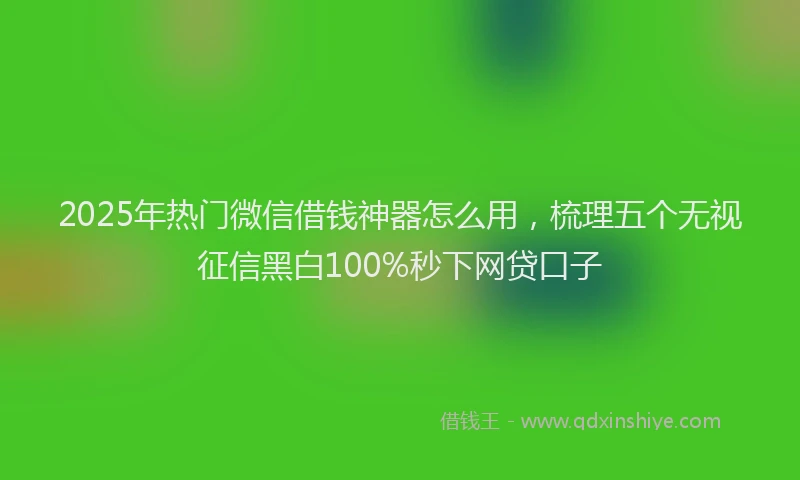 2025年热门微信借钱神器怎么用，梳理五个无视征信黑白100%秒下网贷口子