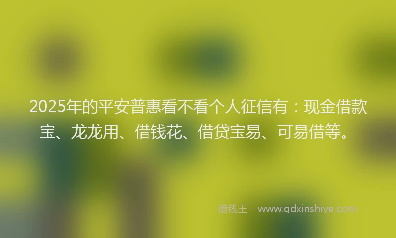 2025年的平安普惠看不看个人征信有：现金借款宝、龙龙用、借钱花、借贷宝易、可易借等。