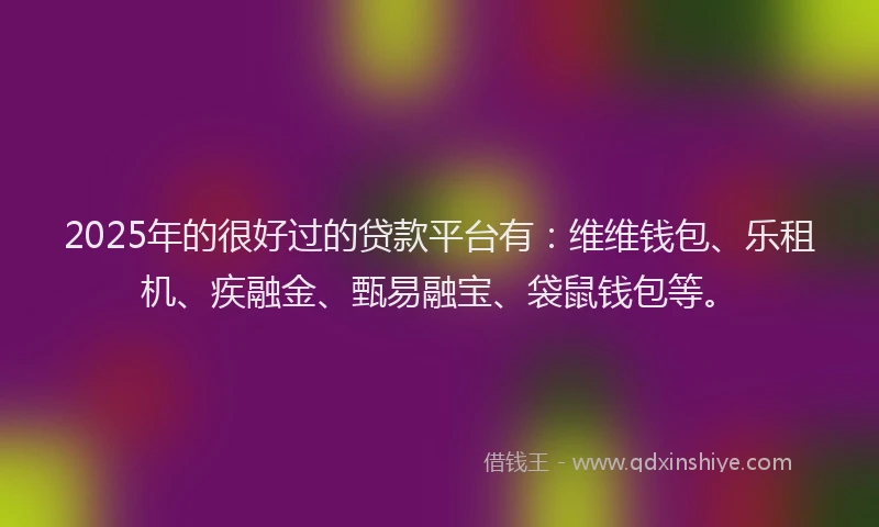 2025年的很好过的贷款平台有：维维钱包、乐租机、疾融金、甄易融宝、袋鼠钱包等。