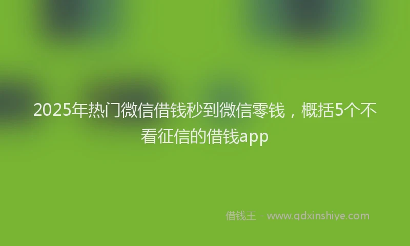 2025年热门微信借钱秒到微信零钱，概括5个不看征信的借钱app