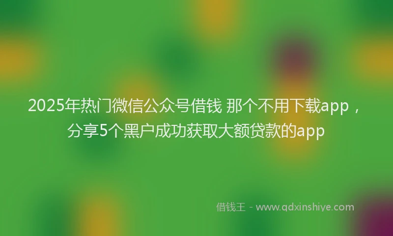 2025年热门微信公众号借钱 那个不用下载app，分享5个黑户成功获取大额贷款的app