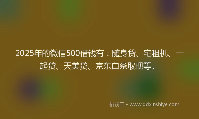 2025年的微信500借钱有：随身贷、宅租机、一起贷、天美贷、京东白条取现等。