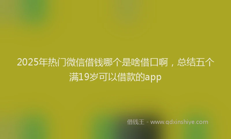 2025年热门微信借钱哪个是啥借口啊，总结五个满19岁可以借款的app