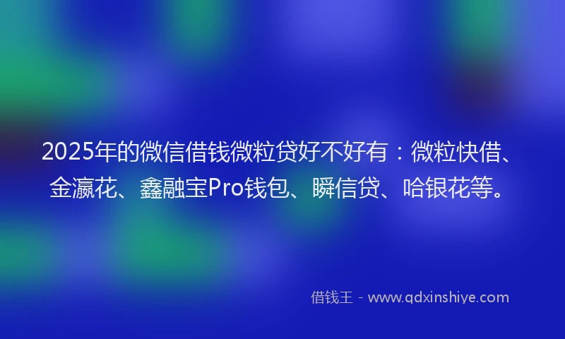 2025年的微信借钱微粒贷好不好有：微粒快借、金瀛花、鑫融宝Pro钱包、瞬信贷、哈银花等。