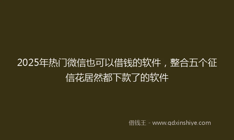 2025年热门微信也可以借钱的软件，整合五个征信花居然都下款了的软件