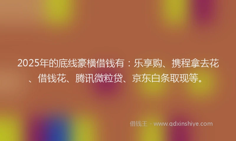 2025年的底线豪横借钱有：乐享购、携程拿去花、借钱花、腾讯微粒贷、京东白条取现等。