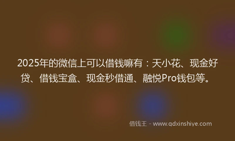 2025年的微信上可以借钱嘛有：天小花、现金好贷、借钱宝盒、现金秒借通、融悦Pro钱包等。