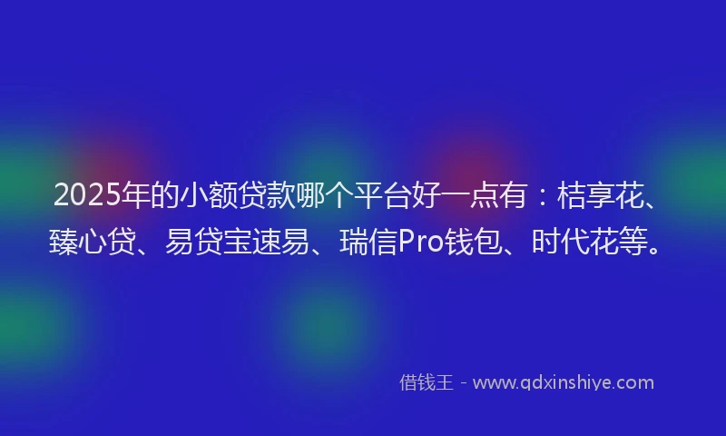 2025年的小额贷款哪个平台好一点有：桔享花、臻心贷、易贷宝速易、瑞信Pro钱包、时代花等。