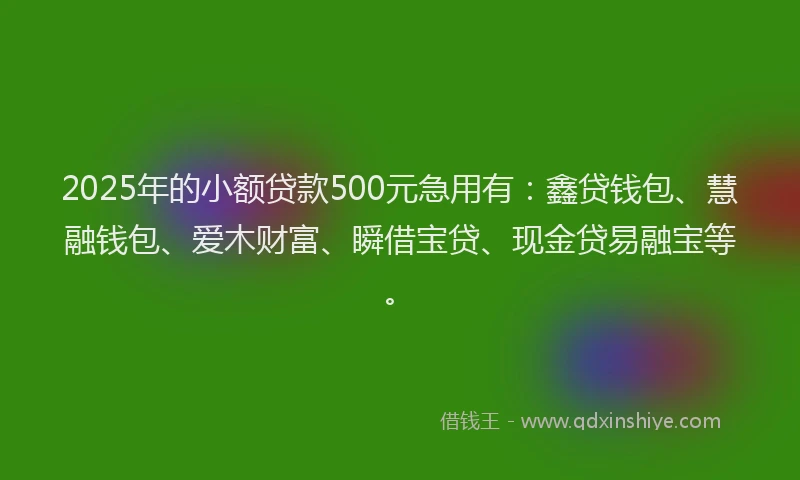 2025年的小额贷款500元急用有：鑫贷钱包、慧融钱包、爱木财富、瞬借宝贷、现金贷易融宝等。