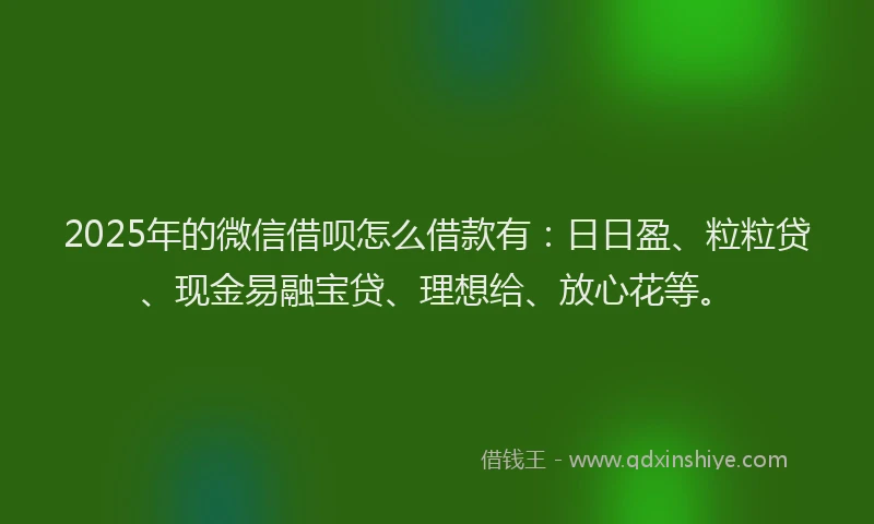 2025年的微信借呗怎么借款有：日日盈、粒粒贷、现金易融宝贷、理想给、放心花等。