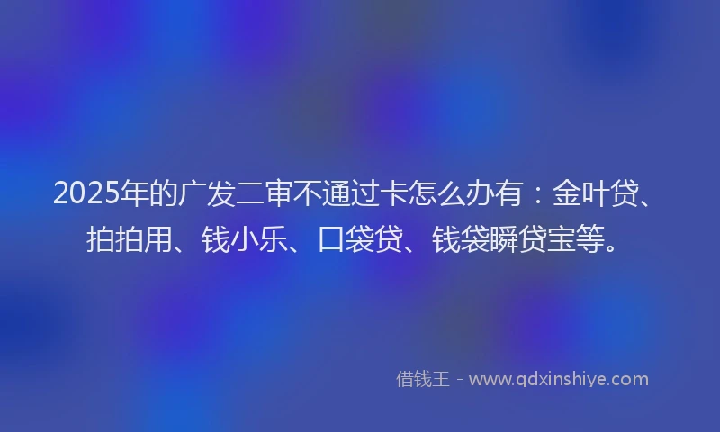 2025年的广发二审不通过卡怎么办有：金叶贷、拍拍用、钱小乐、口袋贷、钱袋瞬贷宝等。