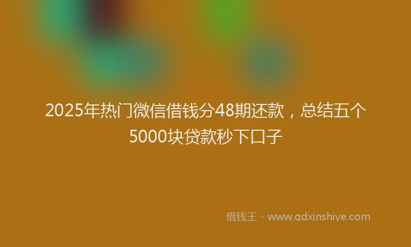 2025年热门微信借钱分48期还款，总结五个5000块贷款秒下口子