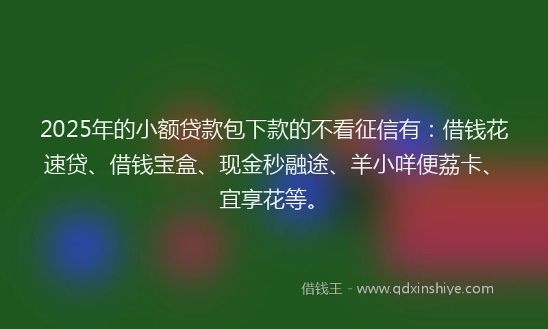 2025年的小额贷款包下款的不看征信有：借钱花速贷、借钱宝盒、现金秒融途、羊小咩便荔卡、宜享花等。