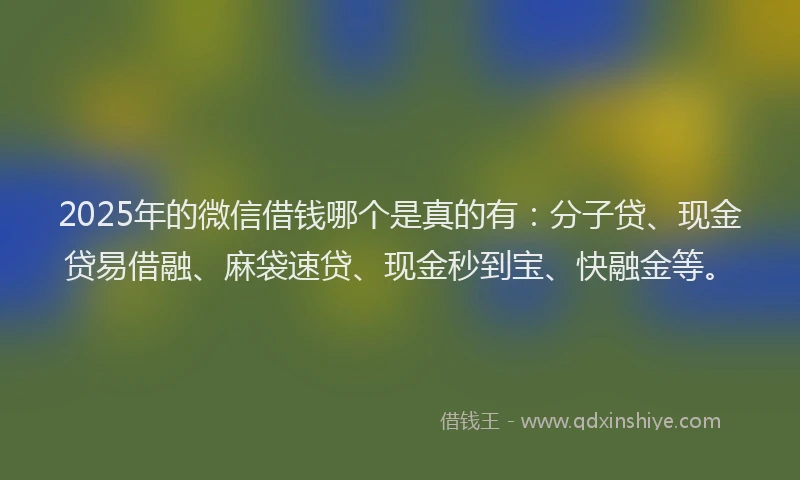 2025年的微信借钱哪个是真的有：分子贷、现金贷易借融、麻袋速贷、现金秒到宝、快融金等。
