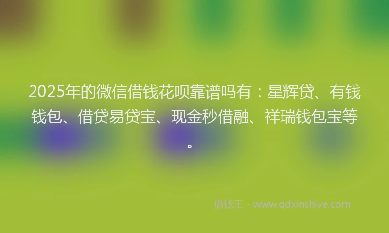2025年的微信借钱花呗靠谱吗有：星辉贷、有钱钱包、借贷易贷宝、现金秒借融、祥瑞钱包宝等。
