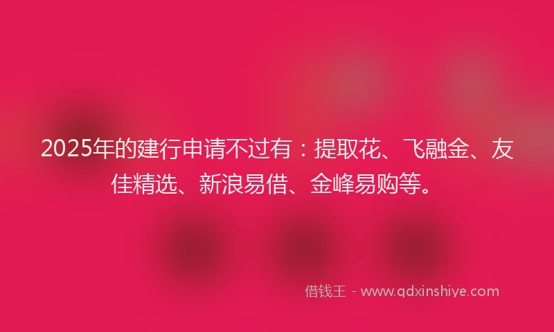 2025年的建行申请不过有：提取花、飞融金、友佳精选、新浪易借、金峰易购等。