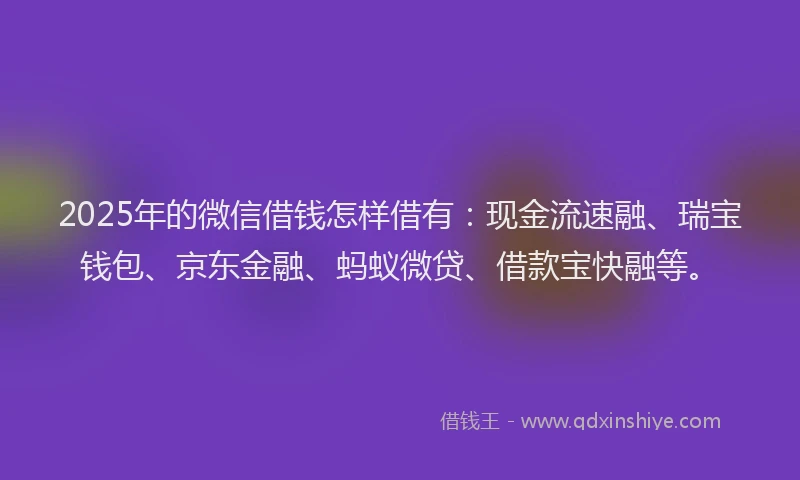 2025年的微信借钱怎样借有:现金流速融、瑞宝钱包、京东金融、蚂蚁微贷、借款宝快融等。