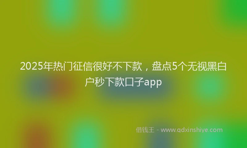 2025年热门征信很好不下款，盘点5个无视黑白户秒下款口子app