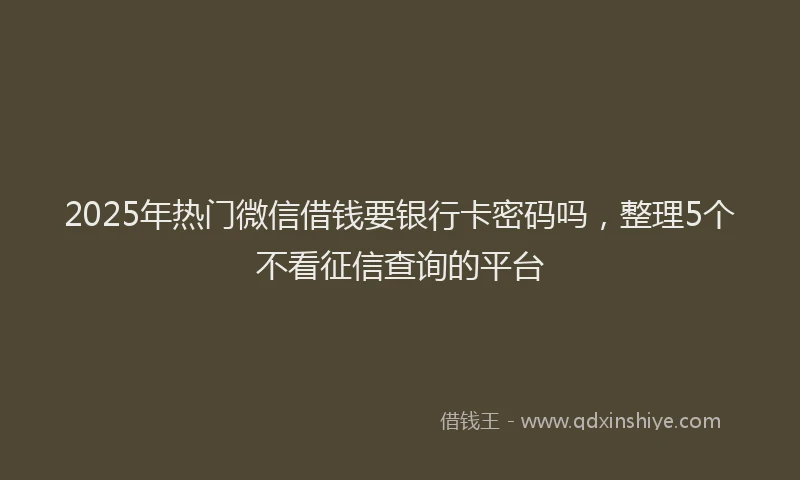2025年热门微信借钱要银行卡密码吗，整理5个不看征信查询的平台
