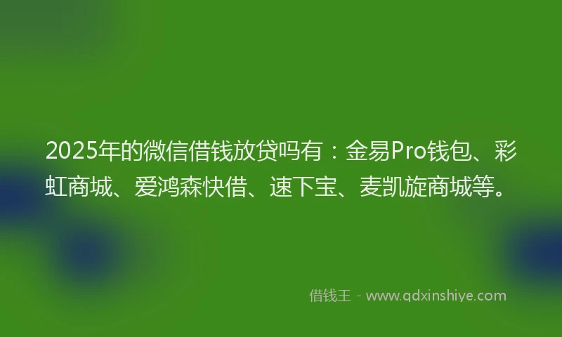 2025年的微信借钱放贷吗有：金易Pro钱包、彩虹商城、爱鸿森快借、速下宝、麦凯旋商城等。