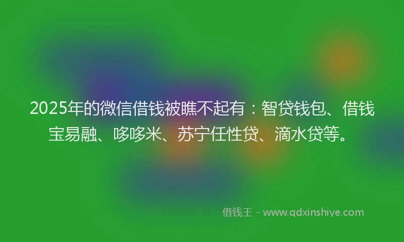 2025年的微信借钱被瞧不起有：智贷钱包、借钱宝易融、哆哆米、苏宁任性贷、滴水贷等。