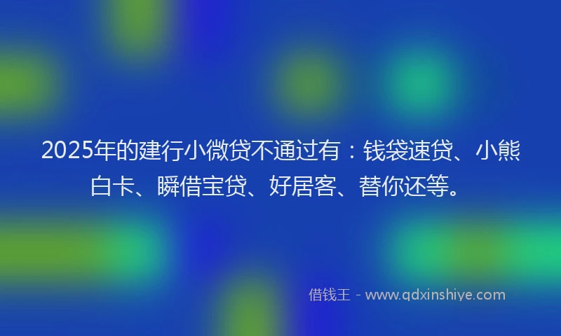 2025年的建行小微贷不通过有：钱袋速贷、小熊白卡、瞬借宝贷、好居客、替你还等。