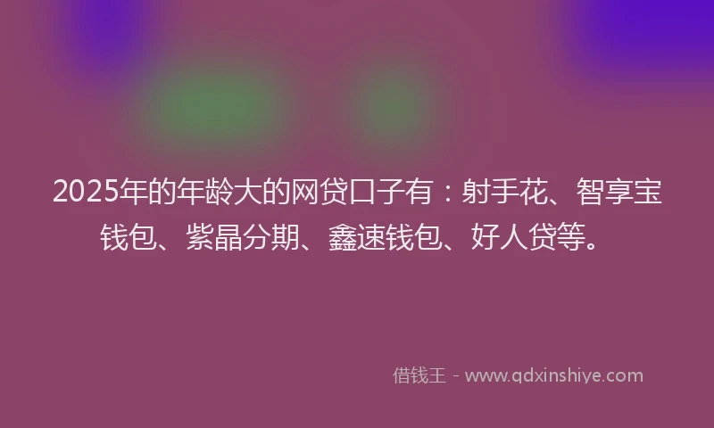 2025年的年龄大的网贷口子有：射手花、智享宝钱包、紫晶分期、鑫速钱包、好人贷等。