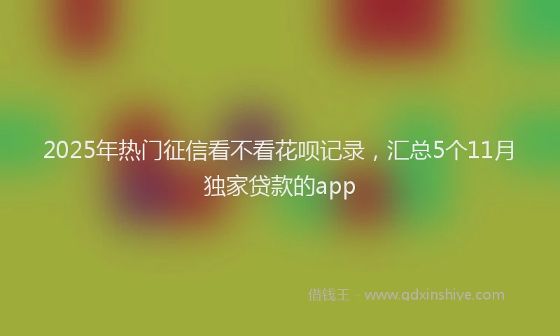 2025年热门征信看不看花呗记录，汇总5个11月独家贷款的app