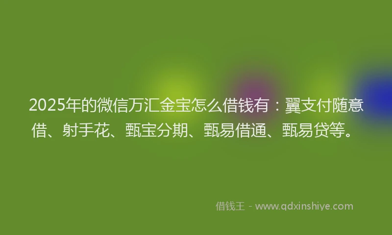 2025年的微信万汇金宝怎么借钱有：翼支付随意借、射手花、甄宝分期、甄易借通、甄易贷等。