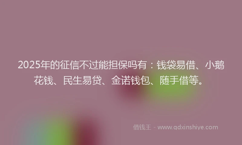 2025年的征信不过能担保吗有：钱袋易借、小鹅花钱、民生易贷、金诺钱包、随手借等。