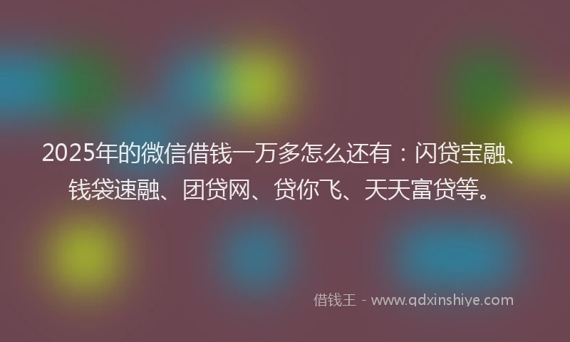 2025年的微信借钱一万多怎么还有：闪贷宝融、钱袋速融、团贷网、贷你飞、天天富贷等。