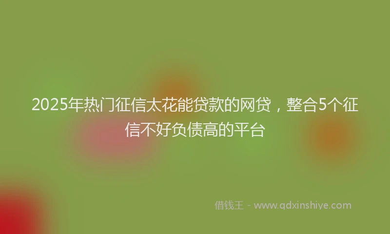 2025年热门征信太花能贷款的网贷，整合5个征信不好负债高的平台