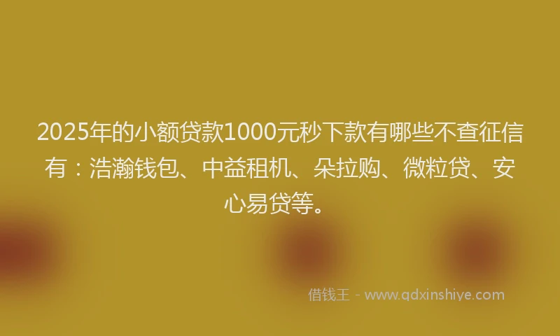 2025年的小额贷款1000元秒下款有哪些不查征信有：浩瀚钱包、中益租机、朵拉购、微粒贷、安心易贷等。