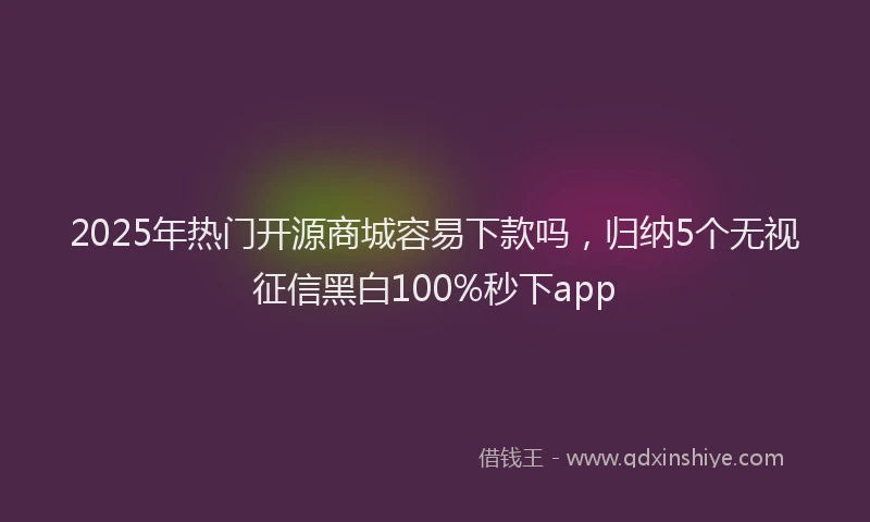 2025年热门开源商城容易下款吗，归纳5个无视征信黑白100%秒下app
