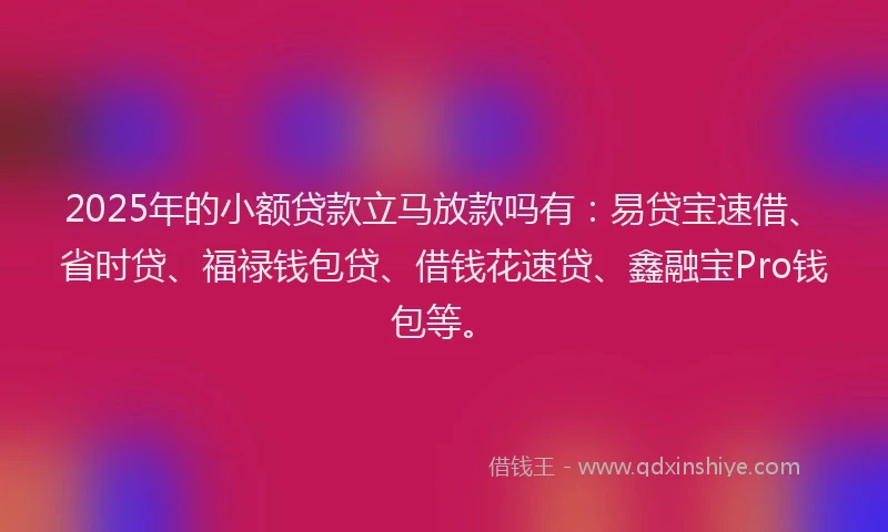 2025年的小额贷款立马放款吗有：易贷宝速借、省时贷、福禄钱包贷、借钱花速贷、鑫融宝Pro钱包等。