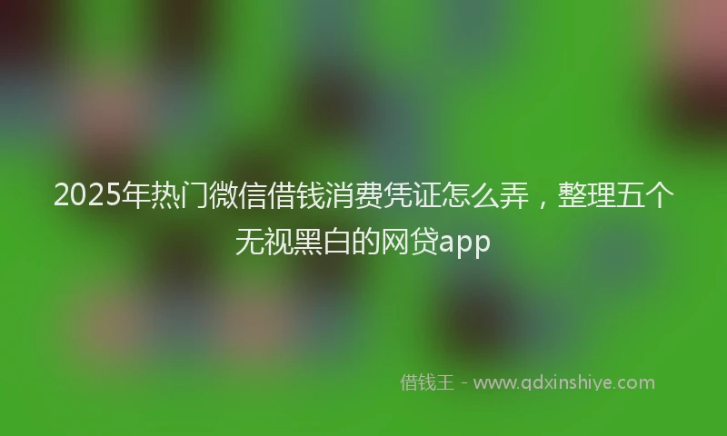 2025年热门微信借钱消费凭证怎么弄，整理五个无视黑白的网贷app