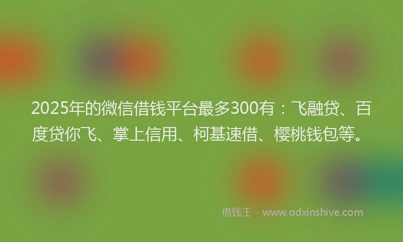 2025年的微信借钱平台最多300有：飞融贷、百度贷你飞、掌上信用、柯基速借、樱桃钱包等。