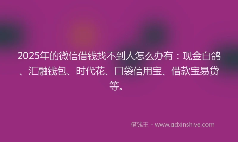 2025年的微信借钱找不到人怎么办有：现金白鸽、汇融钱包、时代花、口袋信用宝、借款宝易贷等。