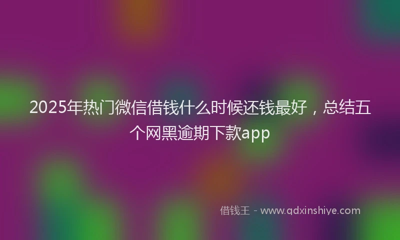 2025年热门微信借钱什么时候还钱最好，总结五个网黑逾期下款app
