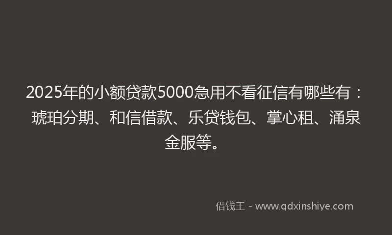2025年的小额贷款5000急用不看征信有哪些有：琥珀分期、和信借款、乐贷钱包、掌心租、涌泉金服等。