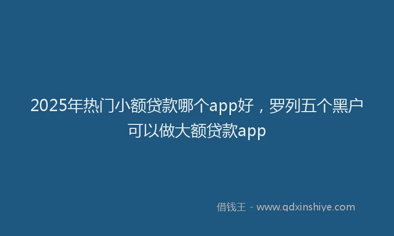 2025年热门小额贷款哪个app好，罗列五个黑户可以做大额贷款app