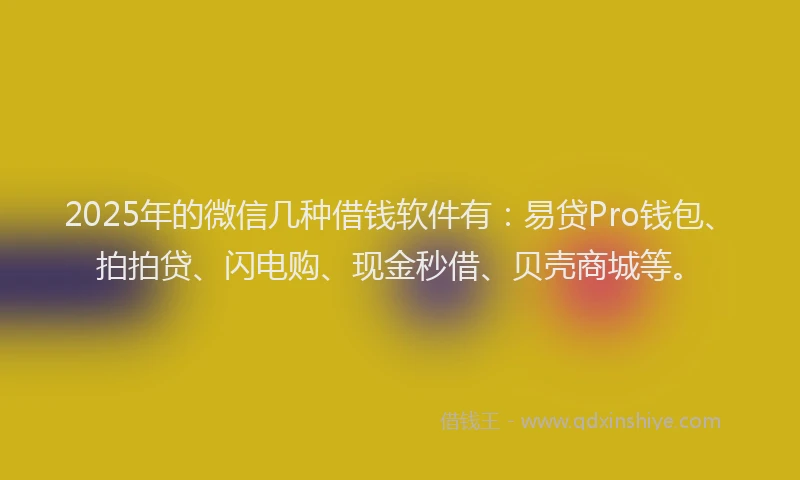 2025年的微信几种借钱软件有：易贷Pro钱包、拍拍贷、闪电购、现金秒借、贝壳商城等。