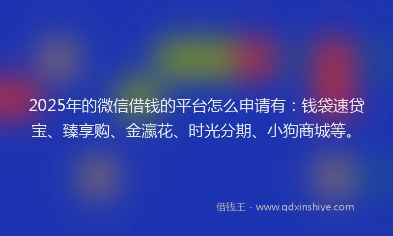 2025年的微信借钱的平台怎么申请有：钱袋速贷宝、臻享购、金瀛花、时光分期、小狗商城等。