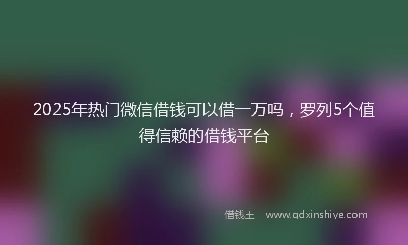 2025年热门微信借钱可以借一万吗，罗列5个值得信赖的借钱平台