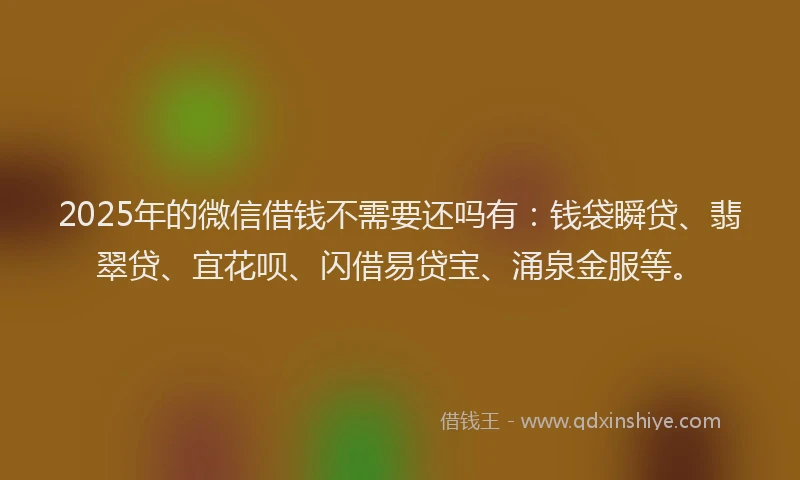 2025年的微信借钱不需要还吗有：钱袋瞬贷、翡翠贷、宜花呗、闪借易贷宝、涌泉金服等。