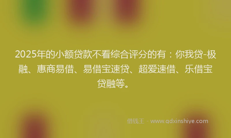 2025年的小额贷款不看综合评分的有：你我贷-极融、惠商易借、易借宝速贷、超爱速借、乐借宝贷融等。