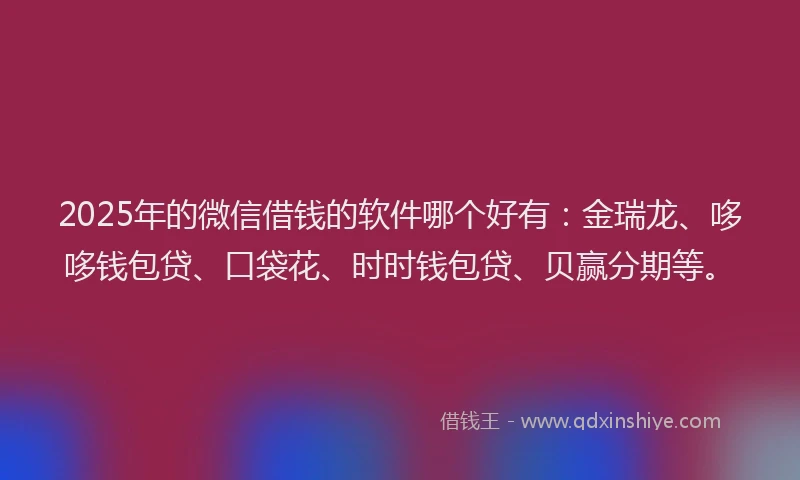 2025年的微信借钱的软件哪个好有：金瑞龙、哆哆钱包贷、口袋花、时时钱包贷、贝赢分期等。