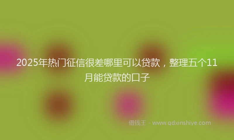 2025年热门征信很差哪里可以贷款，整理五个11月能贷款的口子