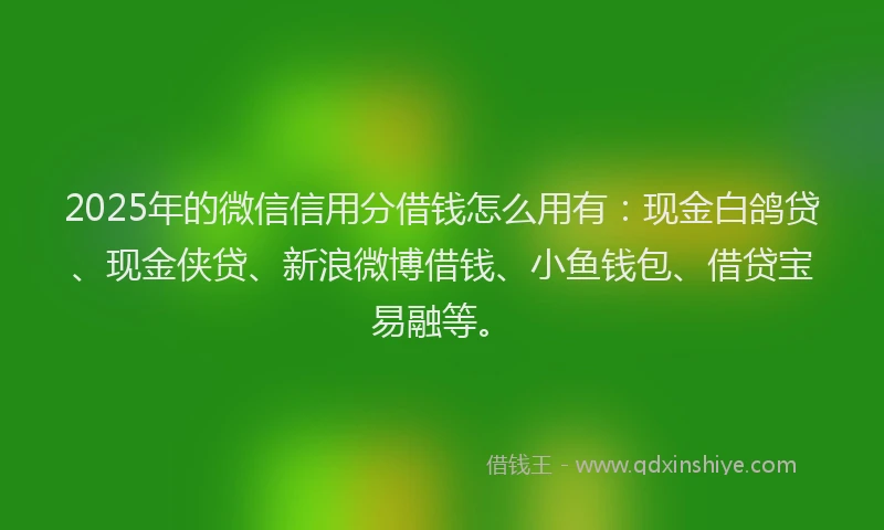 2025年的微信信用分借钱怎么用有：现金白鸽贷、现金侠贷、新浪微博借钱、小鱼钱包、借贷宝易融等。