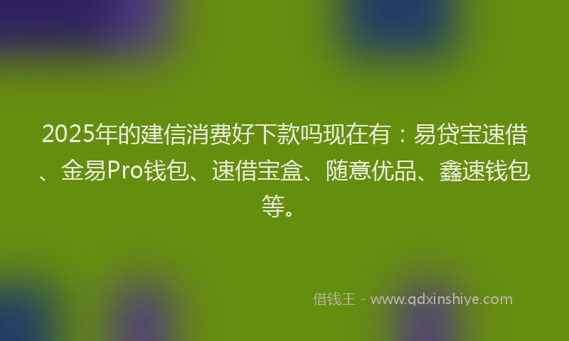 2025年的建信消费好下款吗现在有：易贷宝速借、金易Pro钱包、速借宝盒、随意优品、鑫速钱包等。